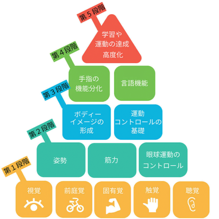 【感覚統合5つの要素】子供の基礎感覚を知ろう！ メディカルケアサロン Lea.【レア】 福岡市西区姪浜