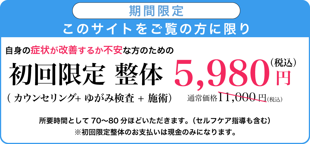 初回限定整体