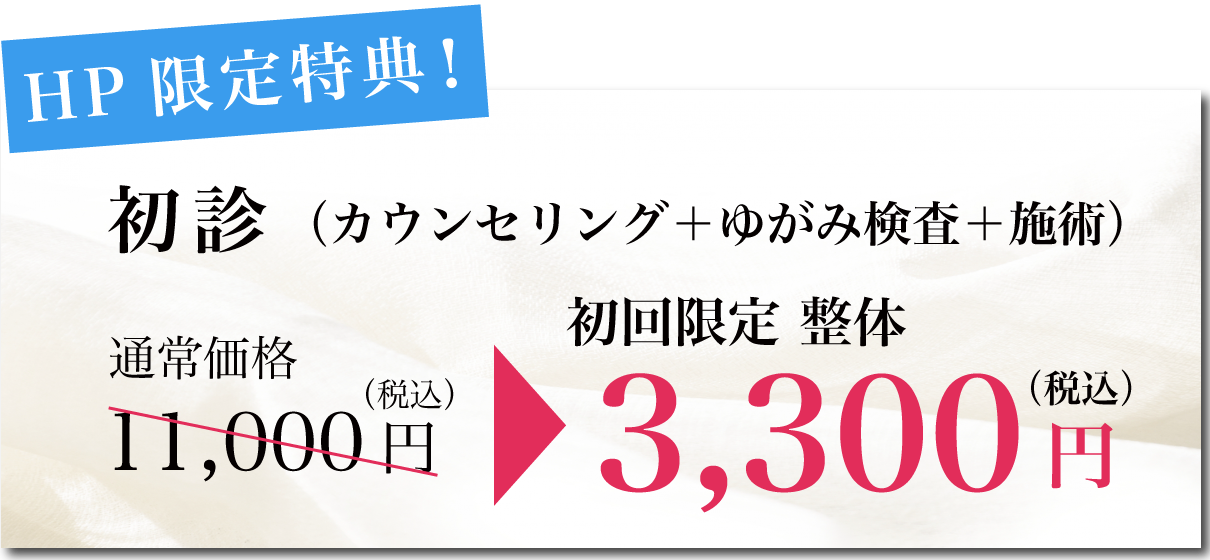 初回限定整体