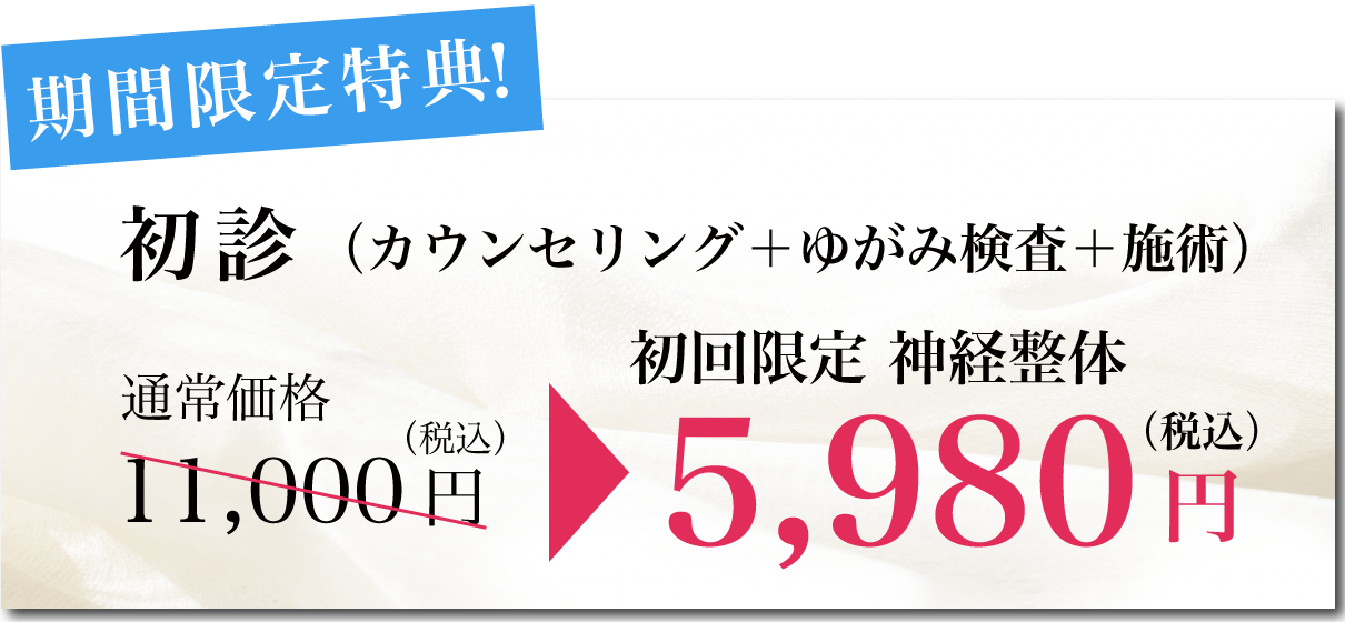 初回限定神経整体